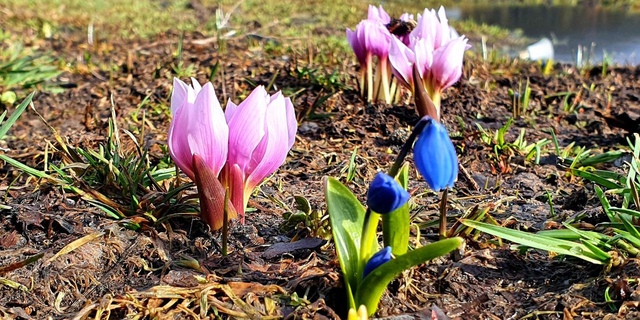 Erzurum'un yükseklerinin bir yanı kar, bir yanı bahar