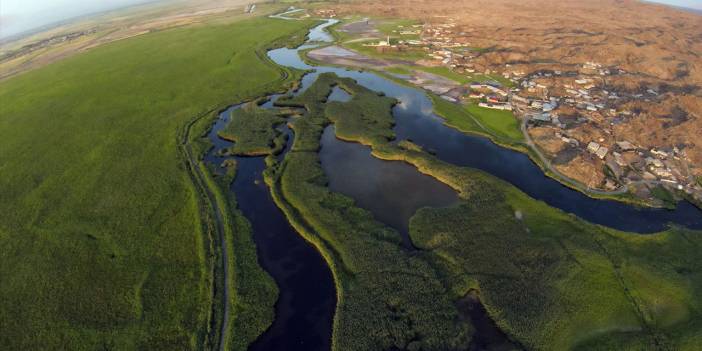 Ağrı Dağı'ndaki Karasu, yaban hayvanlar ev sahipliği yapıyor