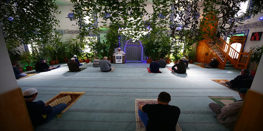 Nevşehirli imam camiyi adeta botanik bahçesine dönüştürdü