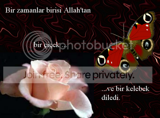 25466409am0.png