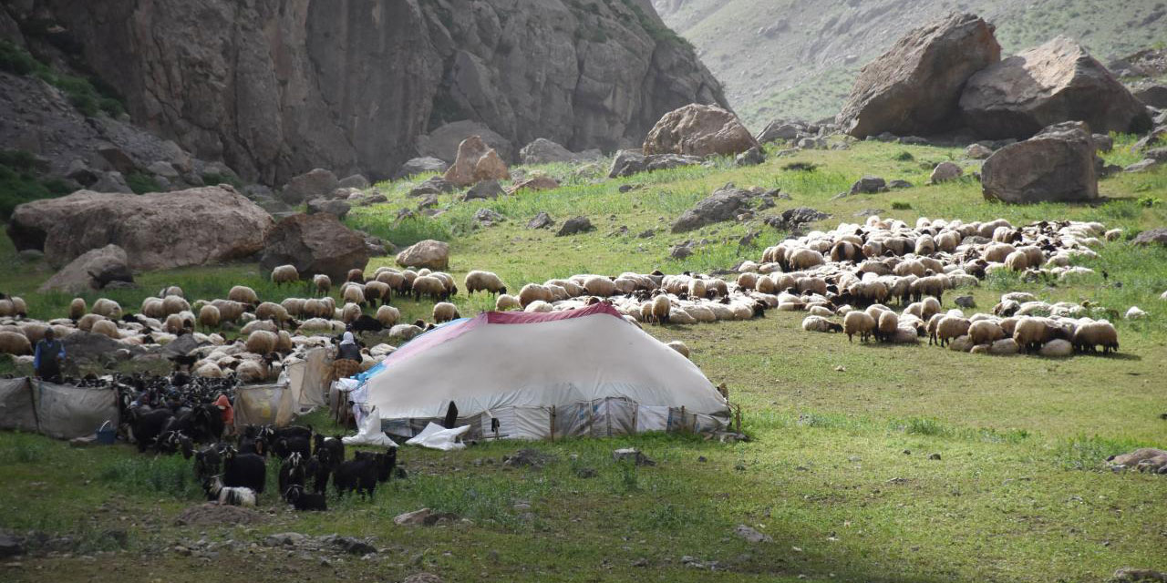 Göçerler serin yaylaları tercih ediyor