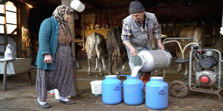 Üreticiden 'koyun, keçi sütü referans fiyatı da USK tarafından belirlensin' talebi