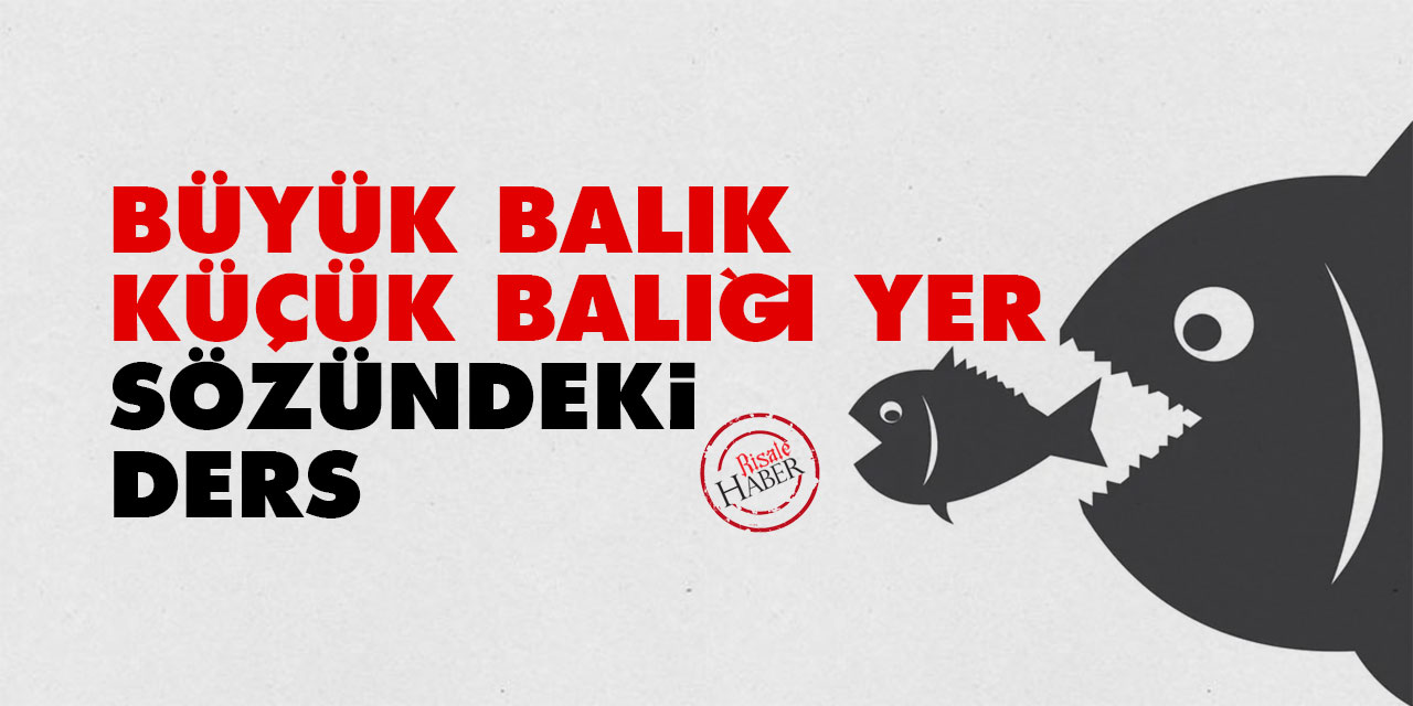 'Büyük balık, küçük balığı yer' sözündeki ders