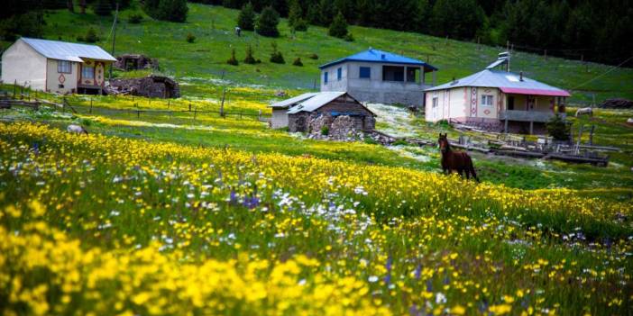 Bu güzel ilkbahar manzarası Türkiye'den