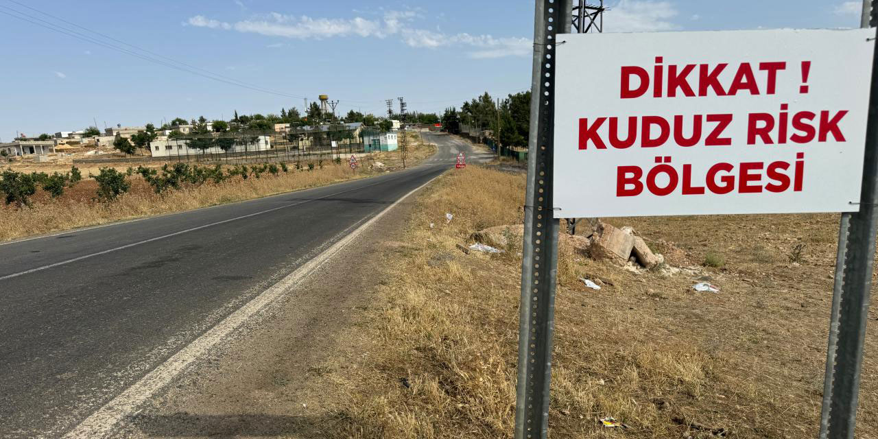 Yıl olmuş 2024 hâlâ kuduzu konuşuyoruz: Adıyaman'da kuduz karantinası