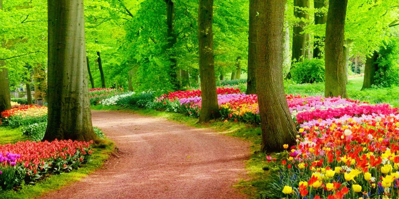 Her türlü saâdeti cami olan Kur'ân ve sünnet şahrâhına girmeye teşvik ediyorlar