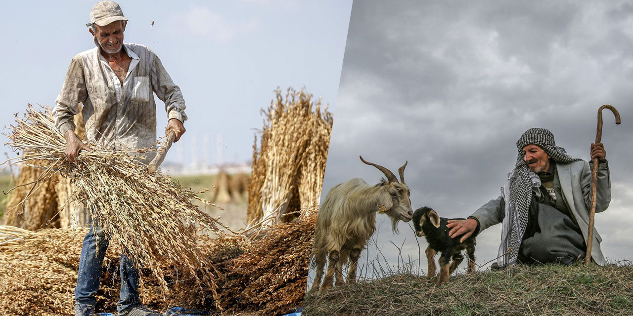14 Mayıs Dünya Çiftçiler Günü