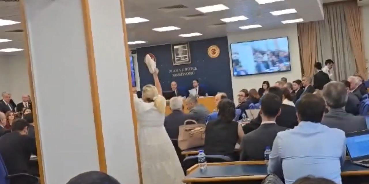 Köpekler çocuklarına, itperest milletvekilleri de anne-babalarına saldırdı