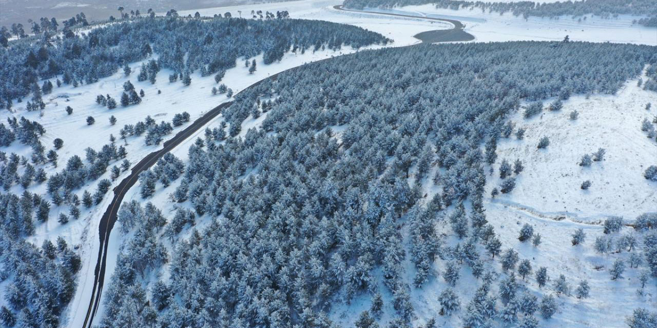 Beyaz rahmetle kaplanan sarıçam ormanların güzelliği