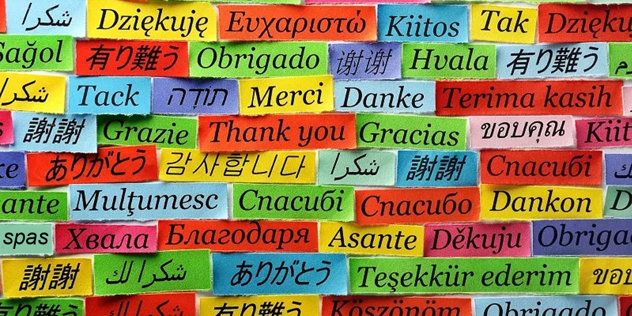 Uluslararası Anadil Günü: 21. yüzyılın sonuna kadar 3 bin dil yok olabilir