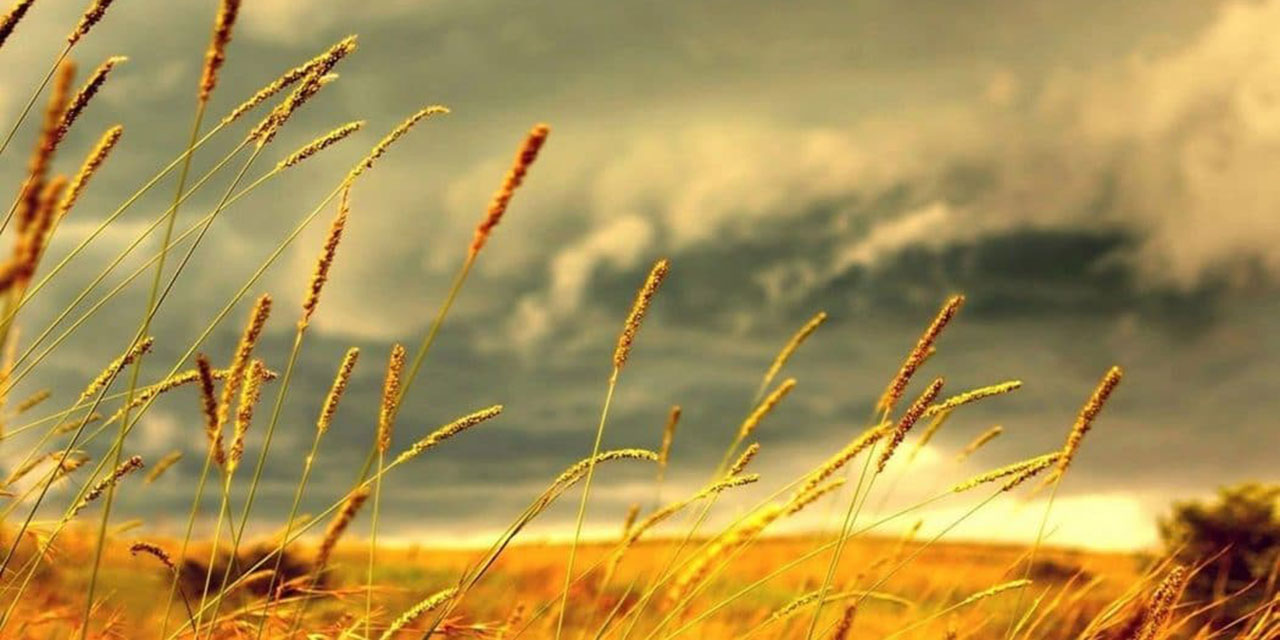 Bu hafta 'fön' rüzgarları estirilecek