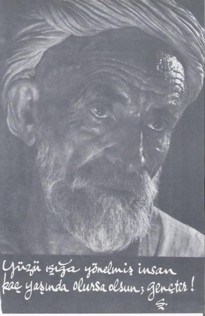 tara0035.jpg