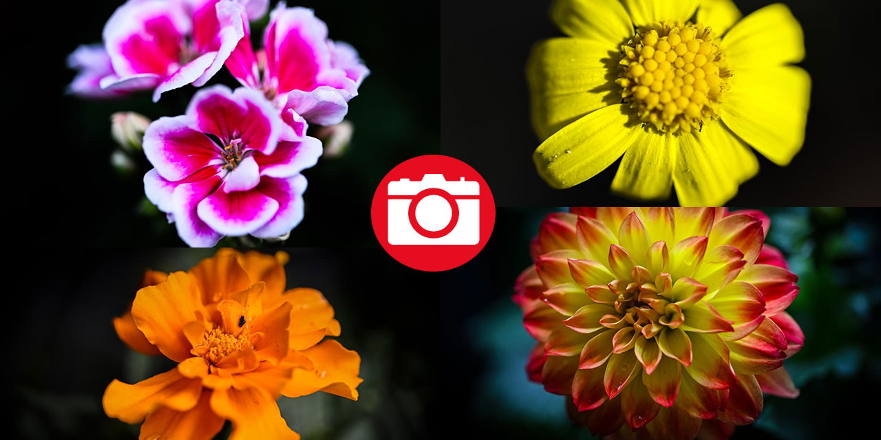 Ankara'da ilkbahar tefekkürü