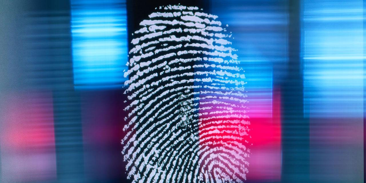 Yaratılış harikası parmak izi: Görüntüde aynı, detayda çok farklı