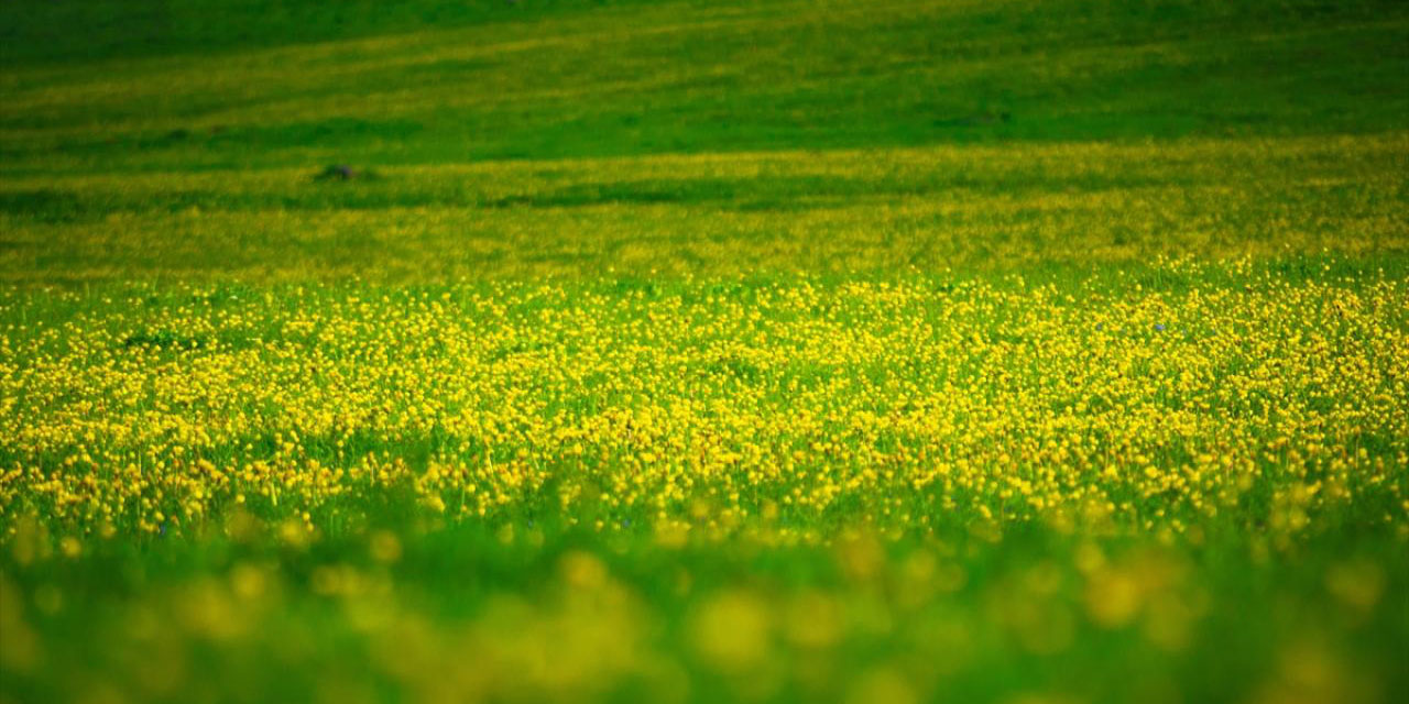 Asr-ı Saadete benzer bir dönem tekrar olacak mı?