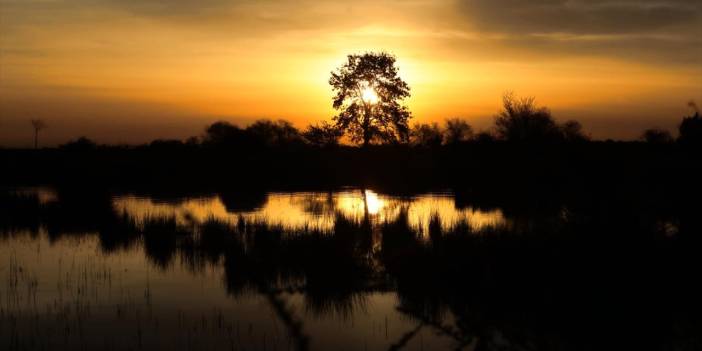 Kızılırmak Deltası'nda gün doğumu