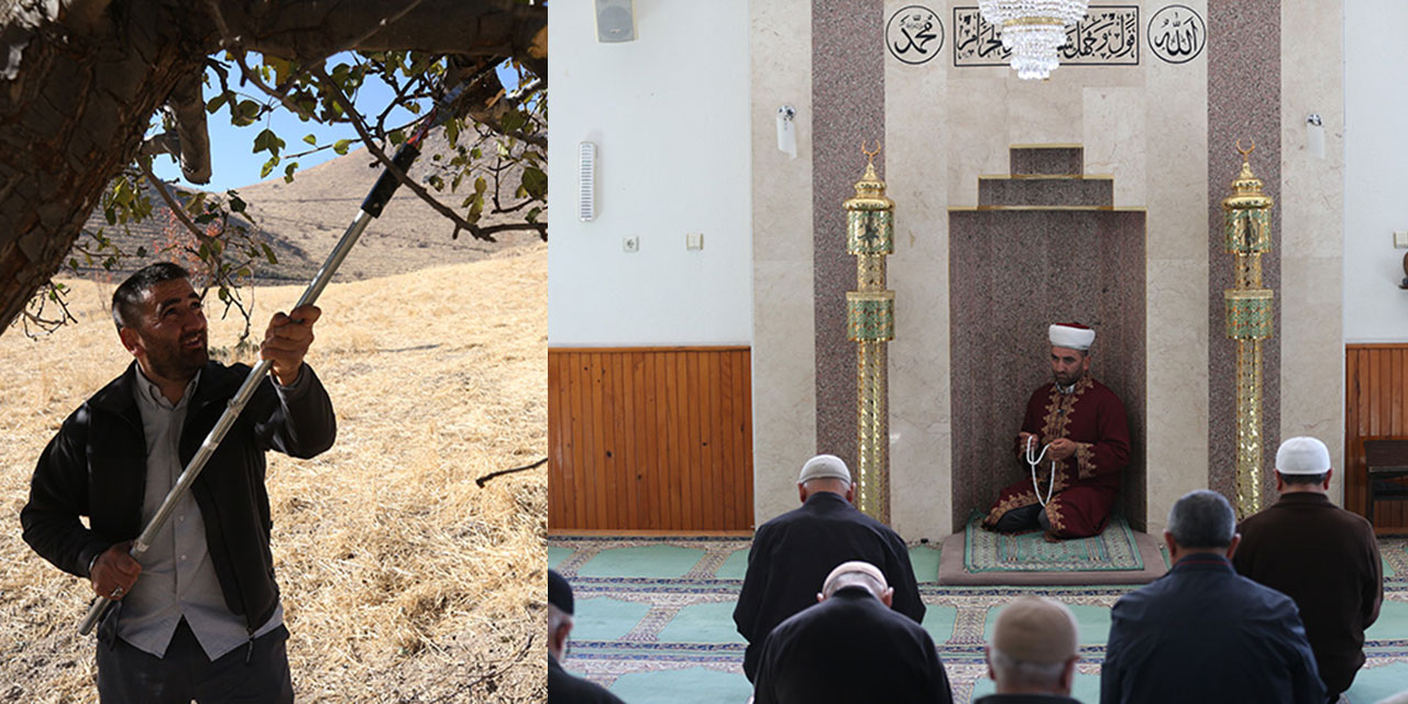Örnek bir imam daha: Dağ tepe gezerek on binlerce ağacın bakımını yapıyor