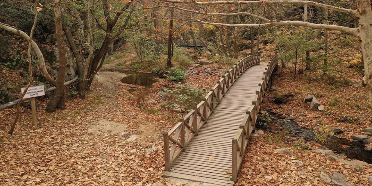 Bursa'daki Sadağı Kanyonu sonbahar renklerine büründü