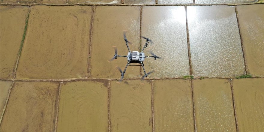 Belçika'da iki hastane arasında dronla doku taşındı