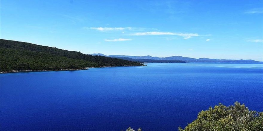 Türkiye Çevre Haftası 'Sıfır Atık' temasıyla kutlanacak