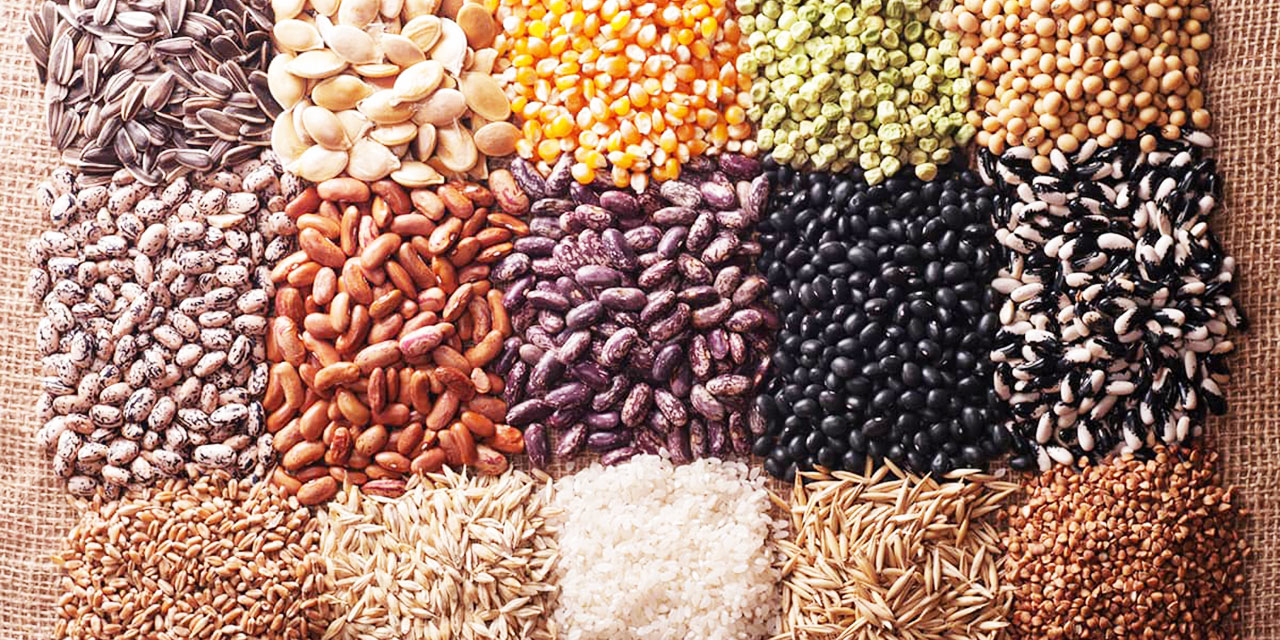 Tohumlar ve Çekirdekler