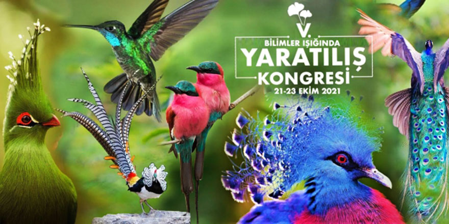 Bilimler Işığında Yaratılış Kongresi yarın başlıyor