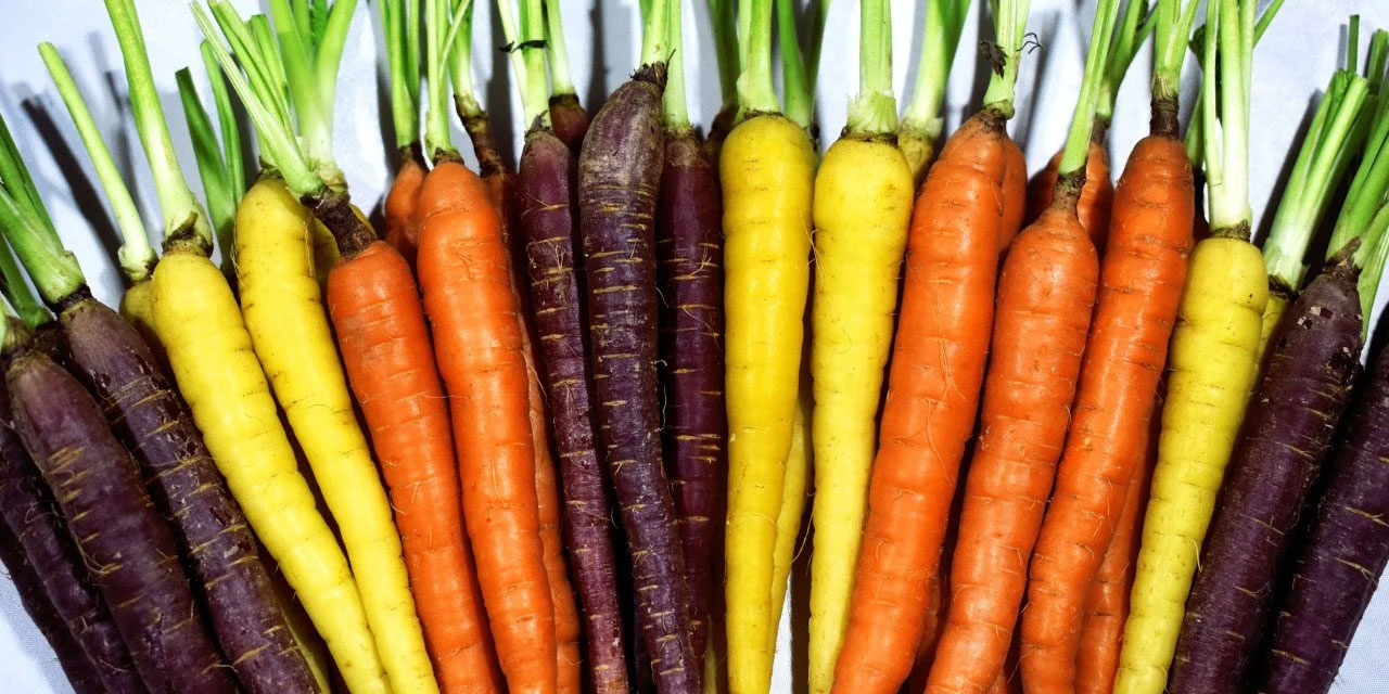 Araştırma Türkiye'den: Kainat eczanesinden havuç, kansere şifa