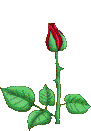 7759ubj269td7j.gif