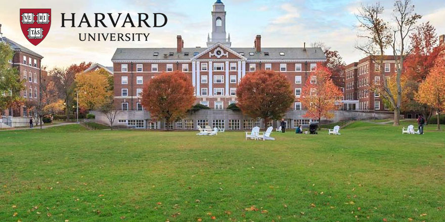 Harvard Üniversitesi, geçmişte köle çalıştırdığı için 100 milyon dolar bağışlayacak
