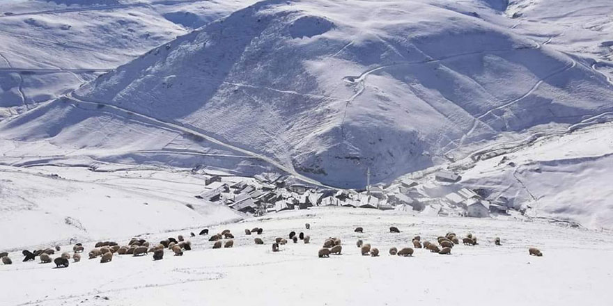 Bayburt'taki köyler beyaz rahmete büründü