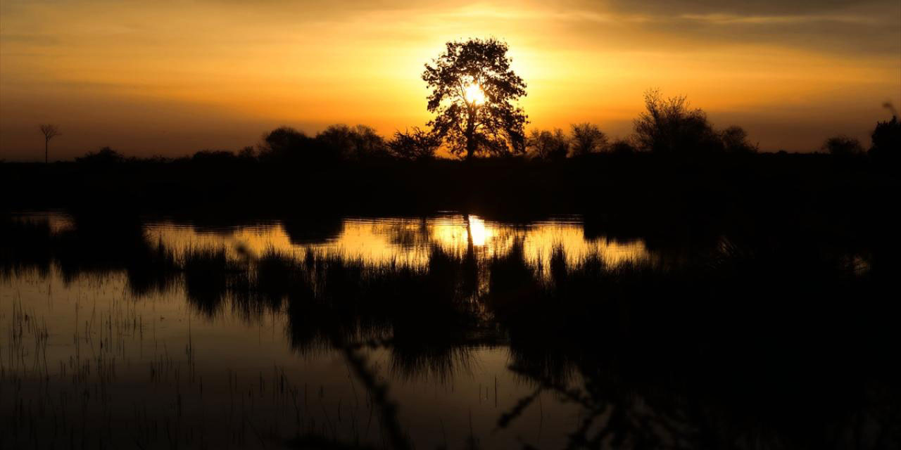 Kızılırmak Deltası'nda gün doğumu