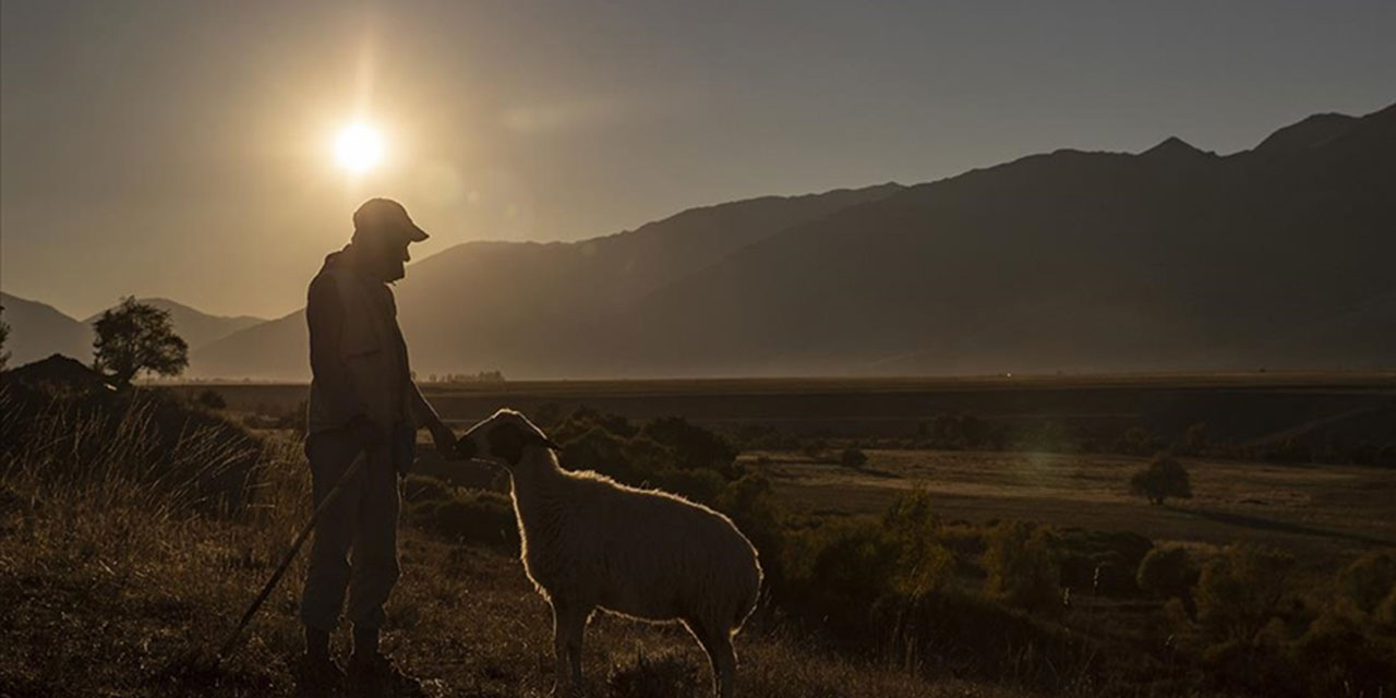 Türkiye'nin kırsalda yaşayan nüfusu azalıyor
