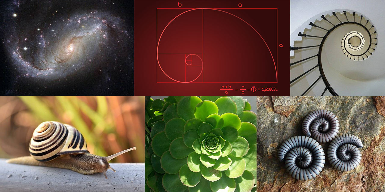 İlahi ilmin matematiği: Altın Oran