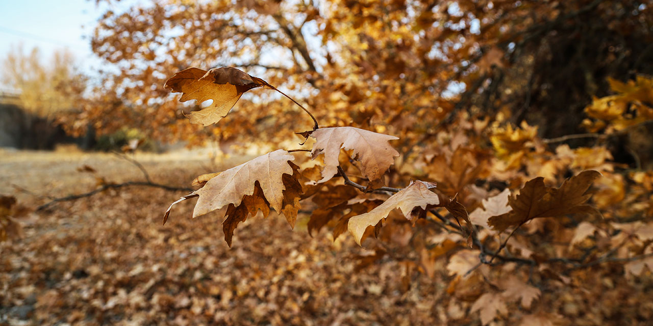 Gördes’de sonbahar bir başka güzel