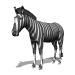zebra.gif