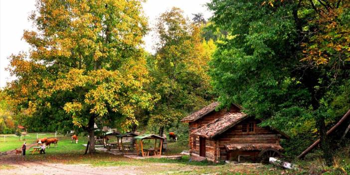 Kastamonu'da Sonbahar bir başka güzel