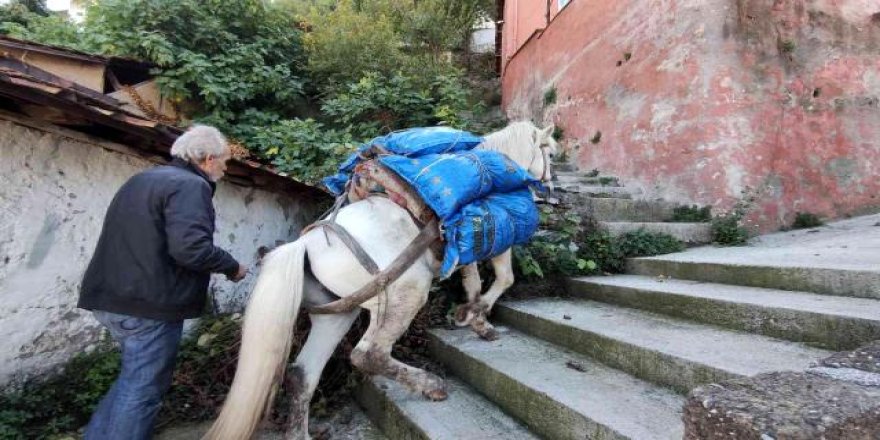 Araçların giremediği mahalleye atıyla yük servisi yapıyor!