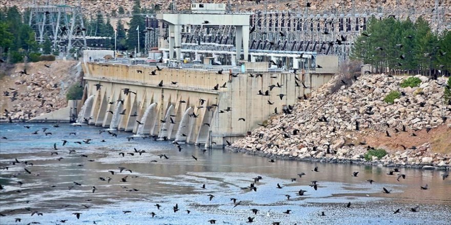Keban Barajı çok sayıda kuş türüne ev sahipliği yapıyor