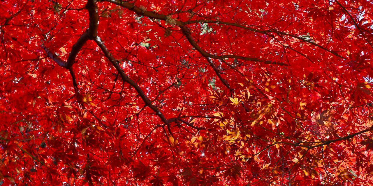 Hristiyanlığın Üç Handikabı ve İslâm’ın Beş Artısı