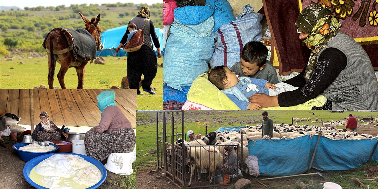 Göçer annelerin ömrü böyle geçiyor: Çadır, çocuk, yol ve sürüler