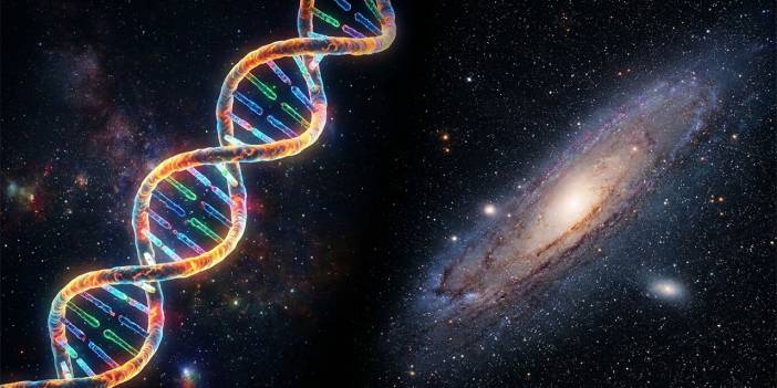 Allah canlıları evrimle yaratmış olamaz mı?