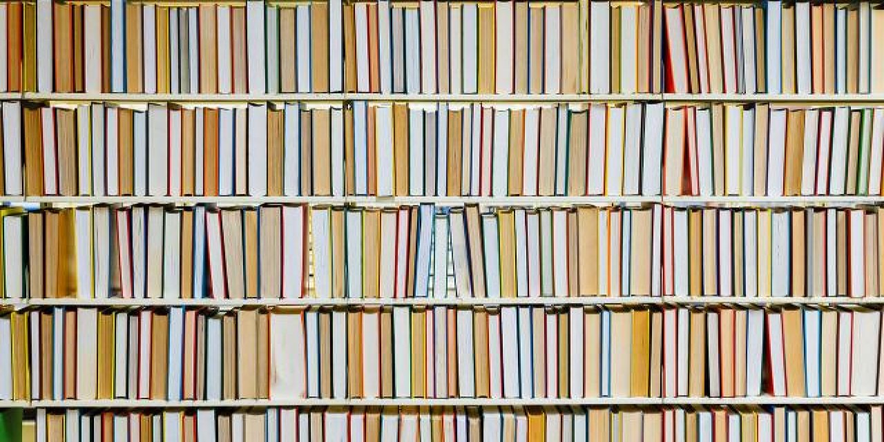 Türkiye'de eğitime katılım oranı OECD ortalamasının üzerinde