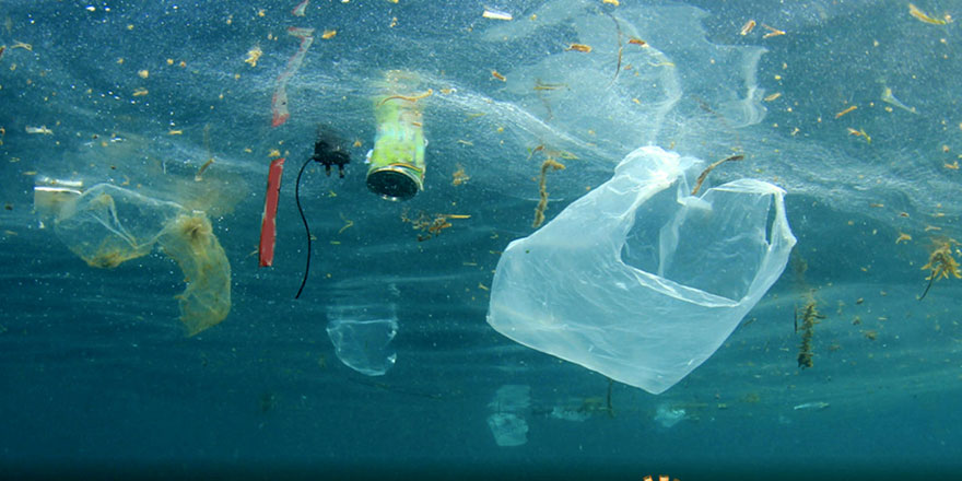 Milyonlarca ton plastik besin zincirine dahil oluyor