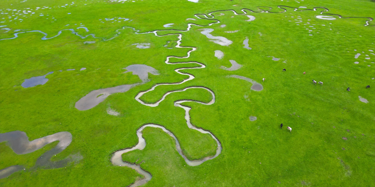 Kıvrımlı yapısıyla yeşile ahenk katan menderesler