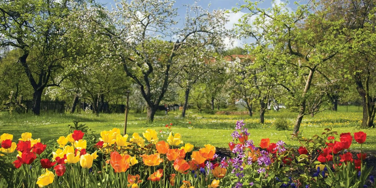 Bilim insanları kanseri durduracak şifayı kainat eczanesinde buldu