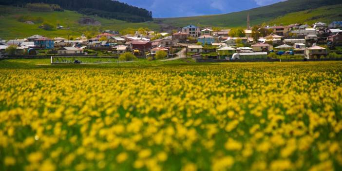 Ardahan'ın köylerinde ilkbahar yeni başlıyor