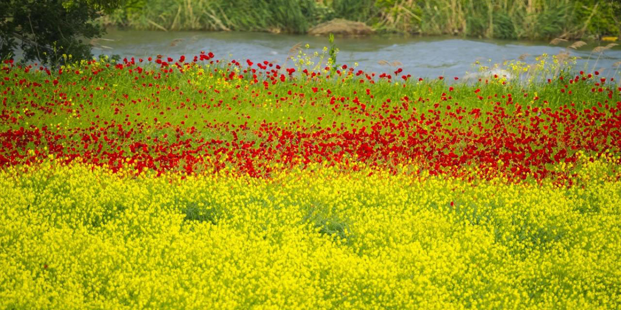 Bursa'da ilkbahar: Yeniden dirilişin en güzelleri
