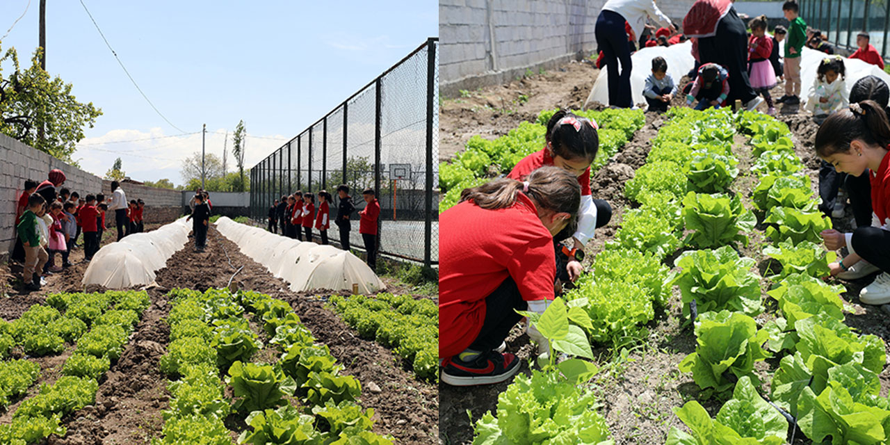 İlkokul öğrencileri dijital bağımlılığa karşı toprakla ilgileniyor