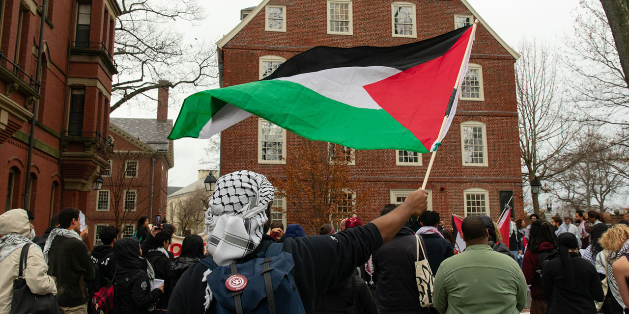 Hani ifade özgürlüğü? Harvard'da Filistin'e destek veren öğrenciler disipline gönderiliyor