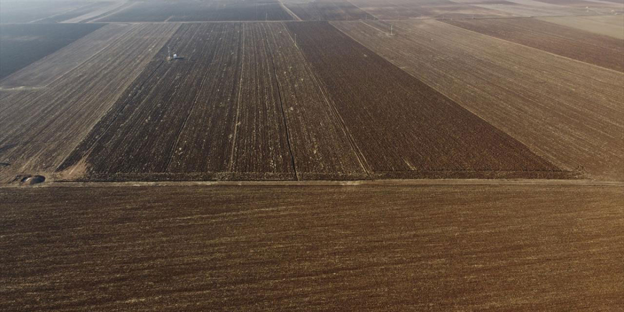 Çiftçiler tarlayı ekti rahmet yağmurlarını bekliyor